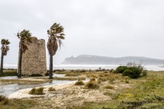 Poetto di Cagliari -  foto Frank Harres